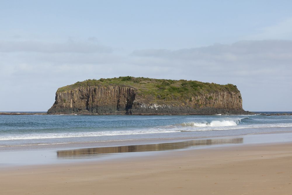 Shellharbour